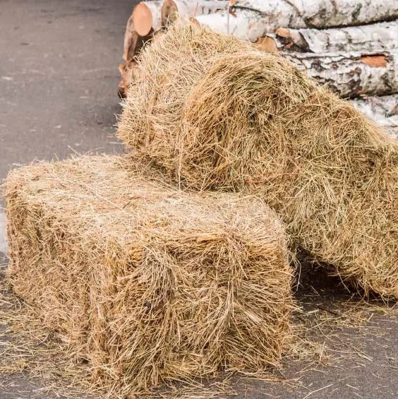 Straw Bale