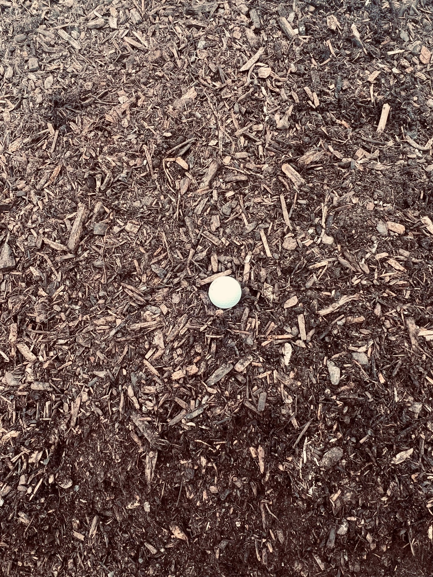 Econo Mulch