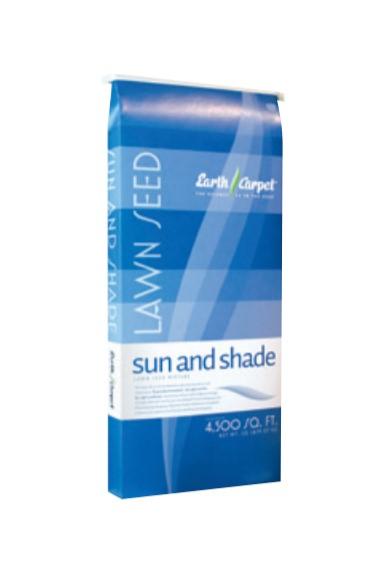 Sun & Shade