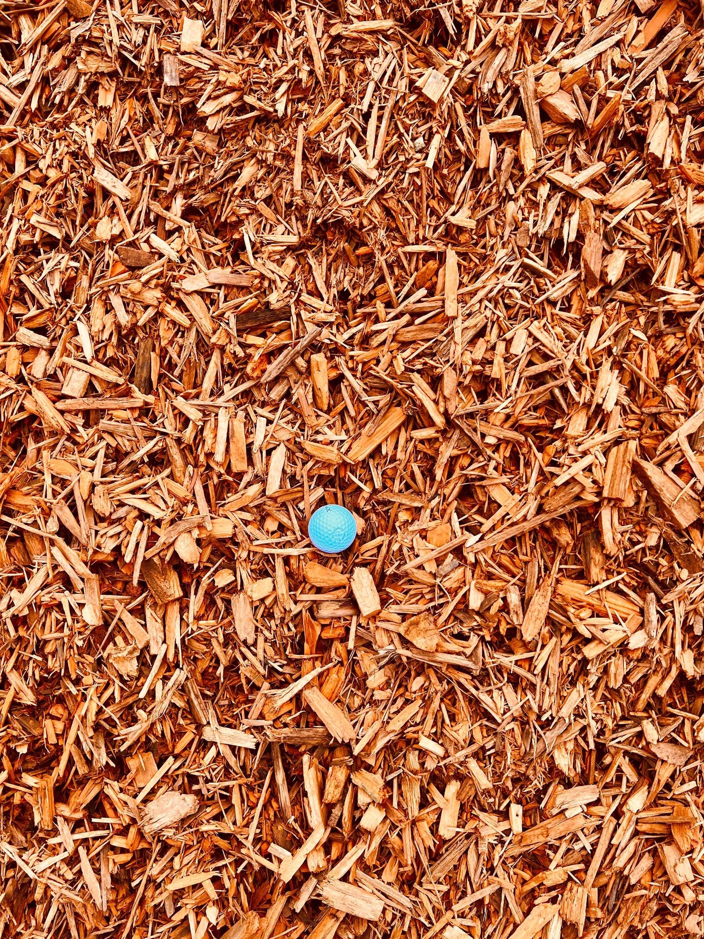 Gold Mulch