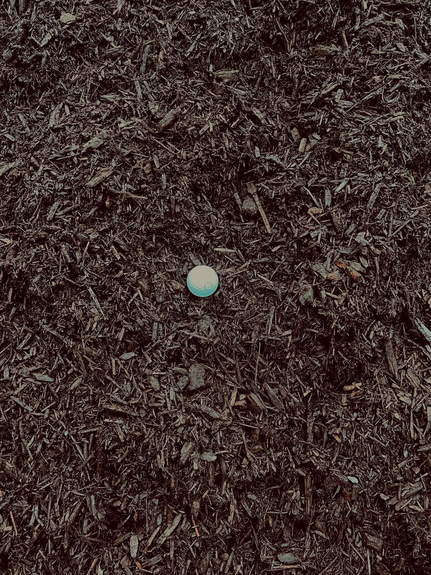 Chocolate Mulch