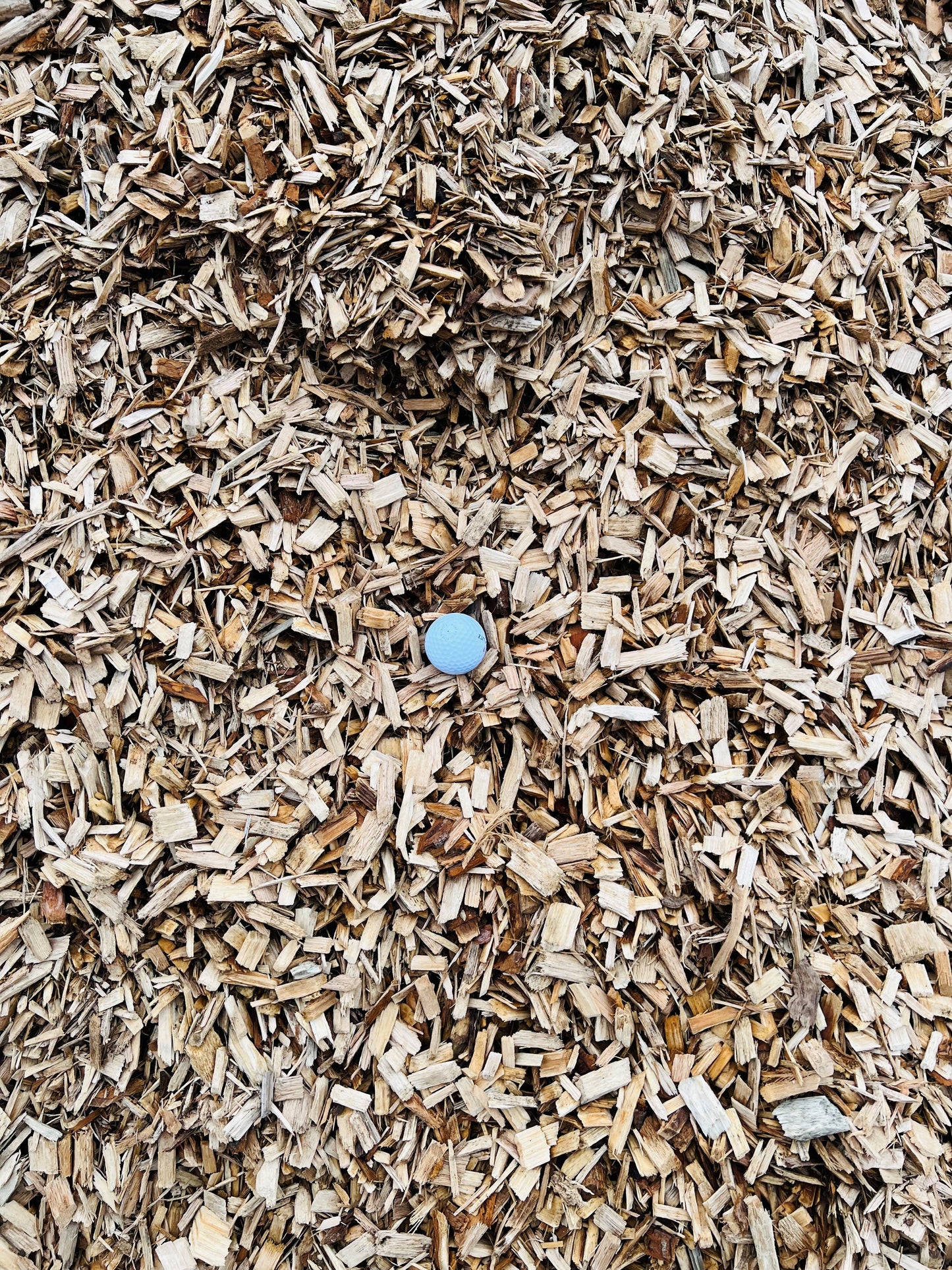 Certified Playground Chips